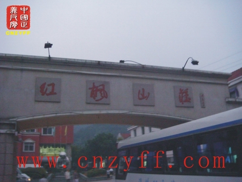 浙江温州鹿城区政府打着红枫山庄老人公寓旗号 进行商品房开发