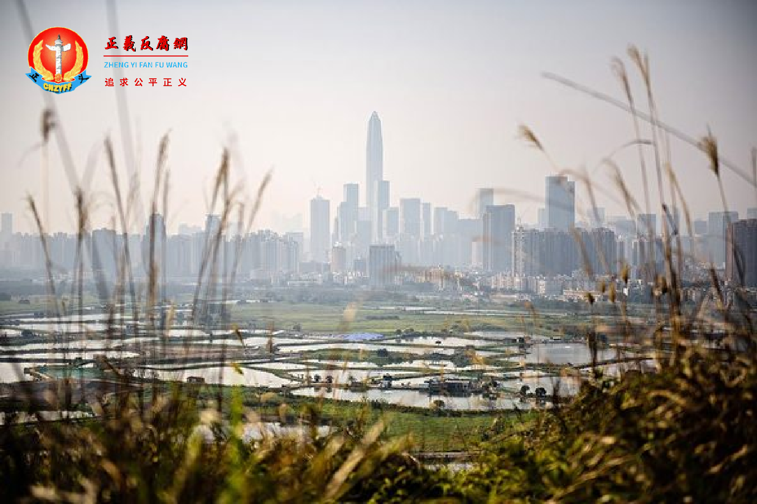 从香港边境眺望深圳市。.png