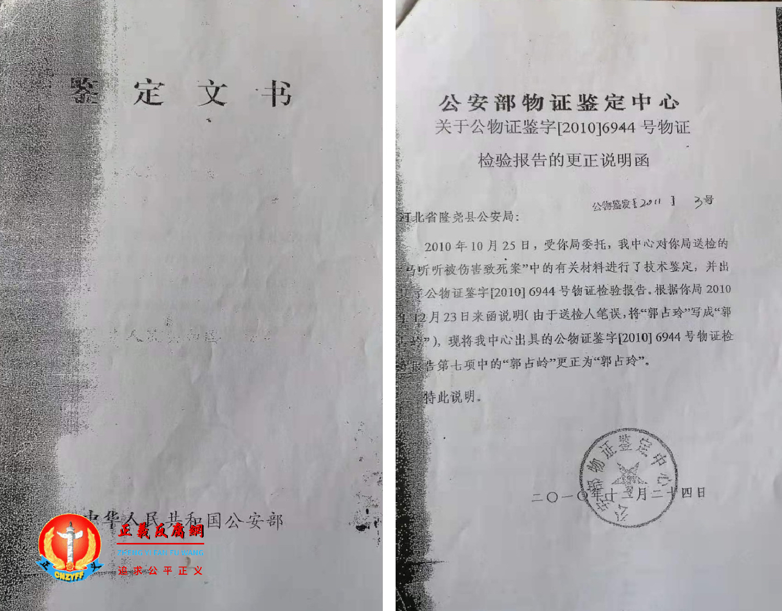 河北隆尧县公安局委托公安部做的鉴定文书，没有入卷宗之一。.png