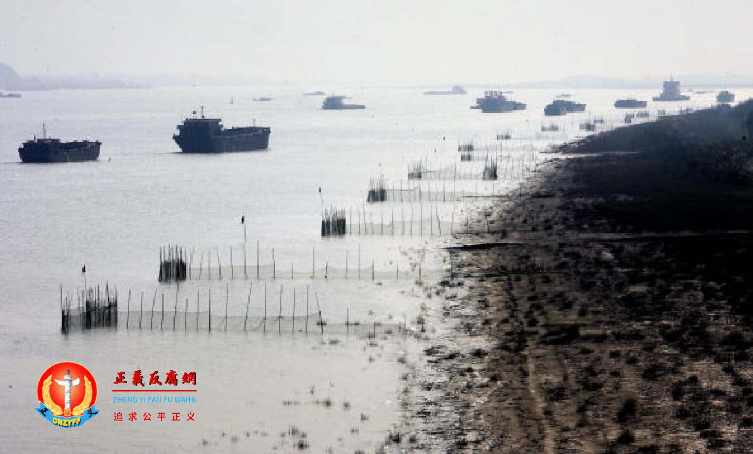 图为各式货船和拖船沿长江驶向出海口。.png