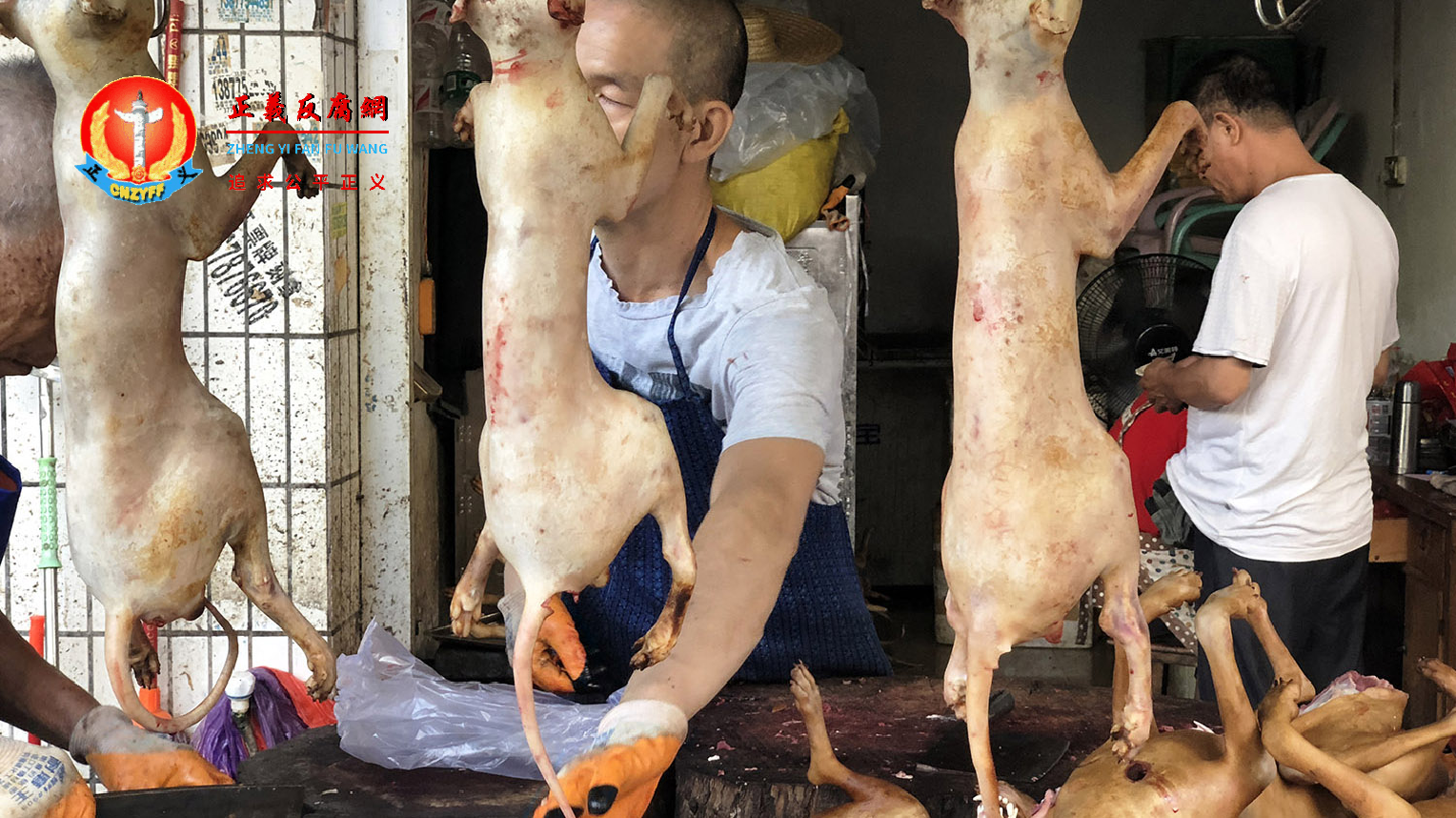 无视疫情肆虐全球，备受抨击的玉林狗肉节今年照常进行。.png