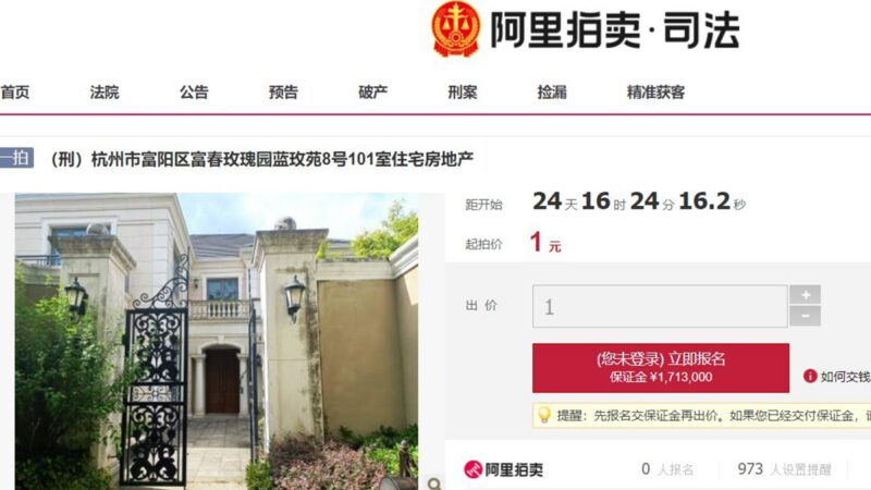 杭州市富阳区富春玫瑰园蓝玫苑8号101室，评估价值1713.26万元人民币的豪宅将拍卖，仅以1元起拍.png