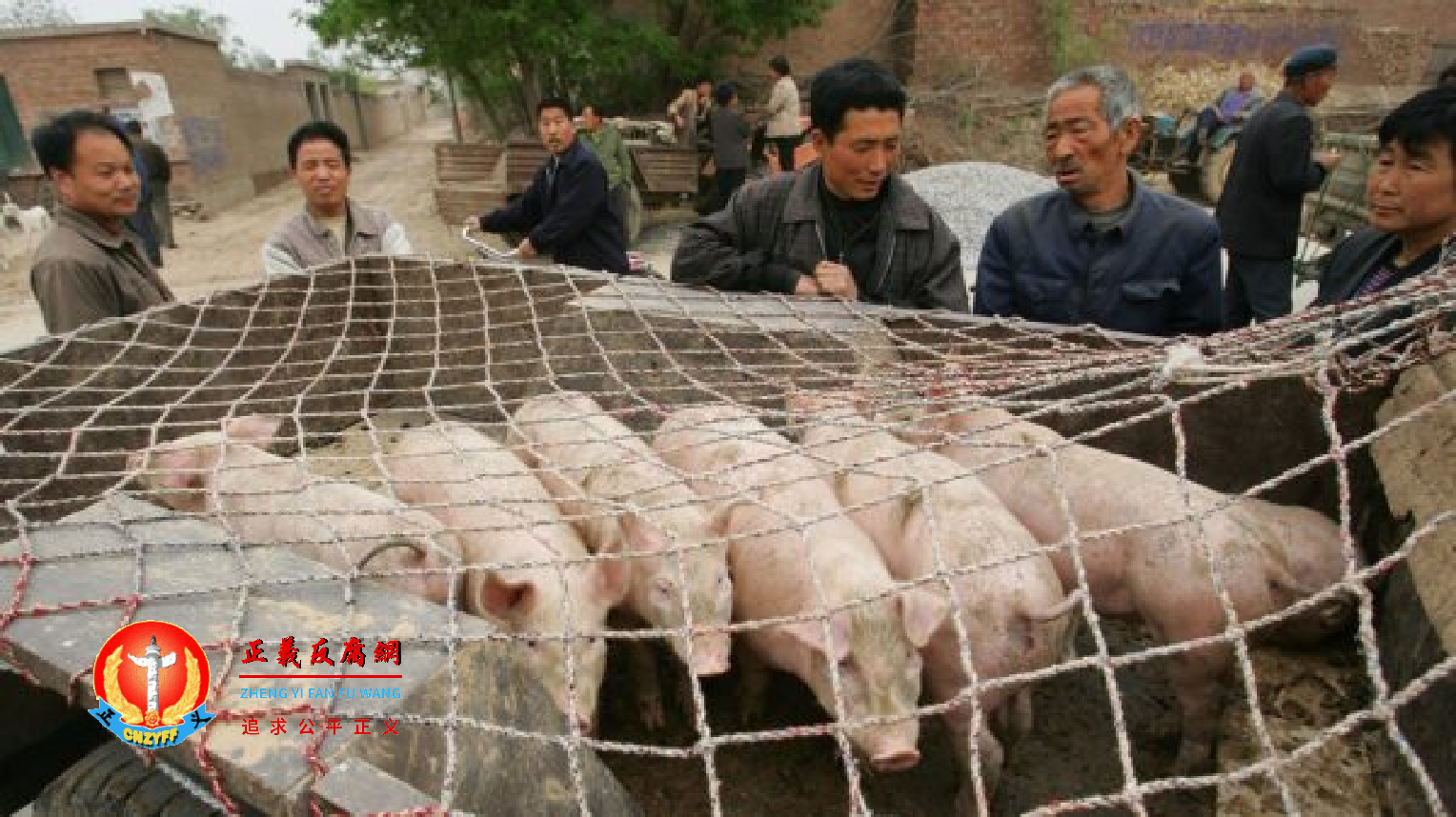 养猪企业温氏股份去年亏损133亿。.png