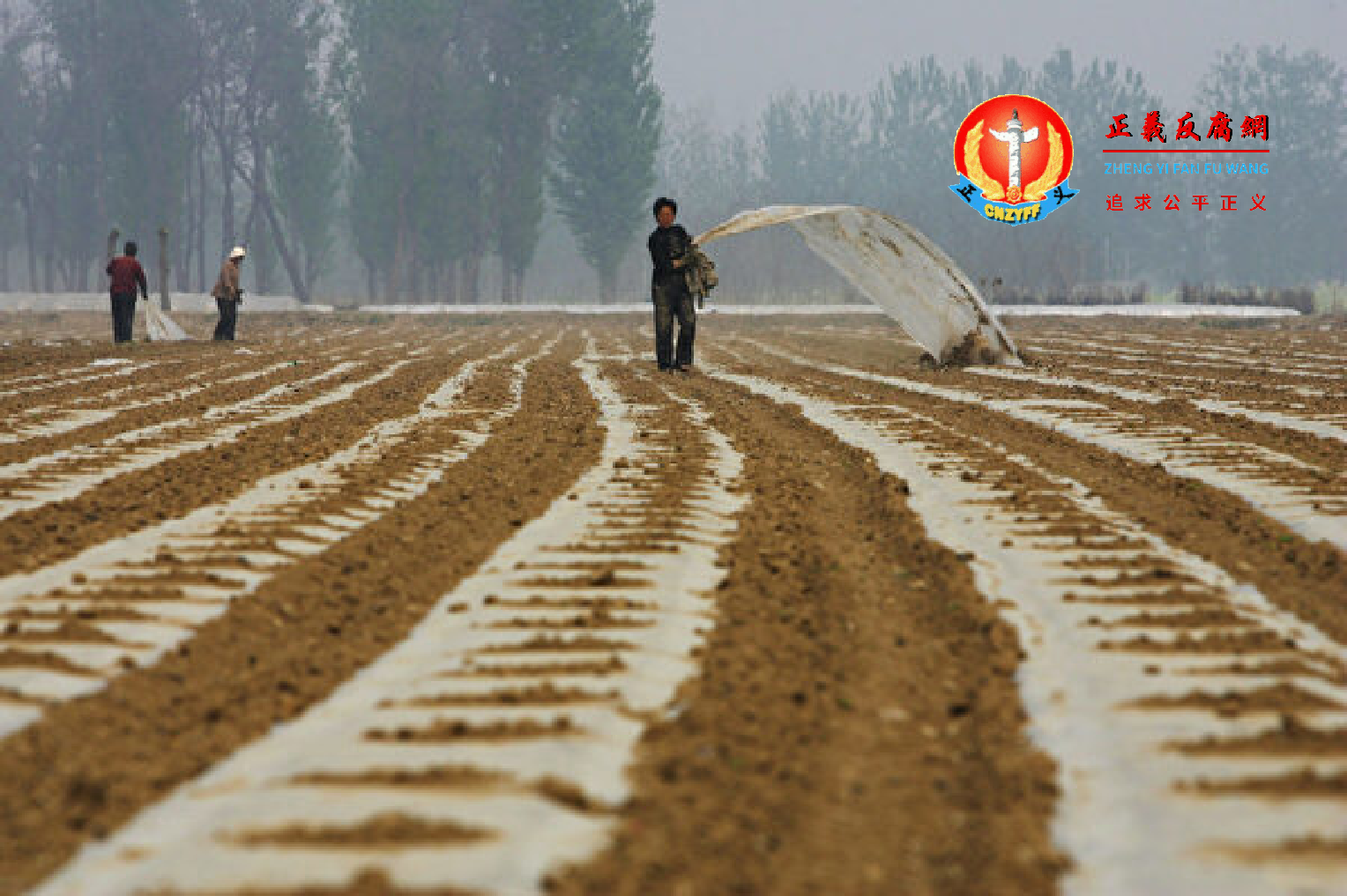 2008年4月16日，中国农民正在北京郊外的田里劳作。.png
