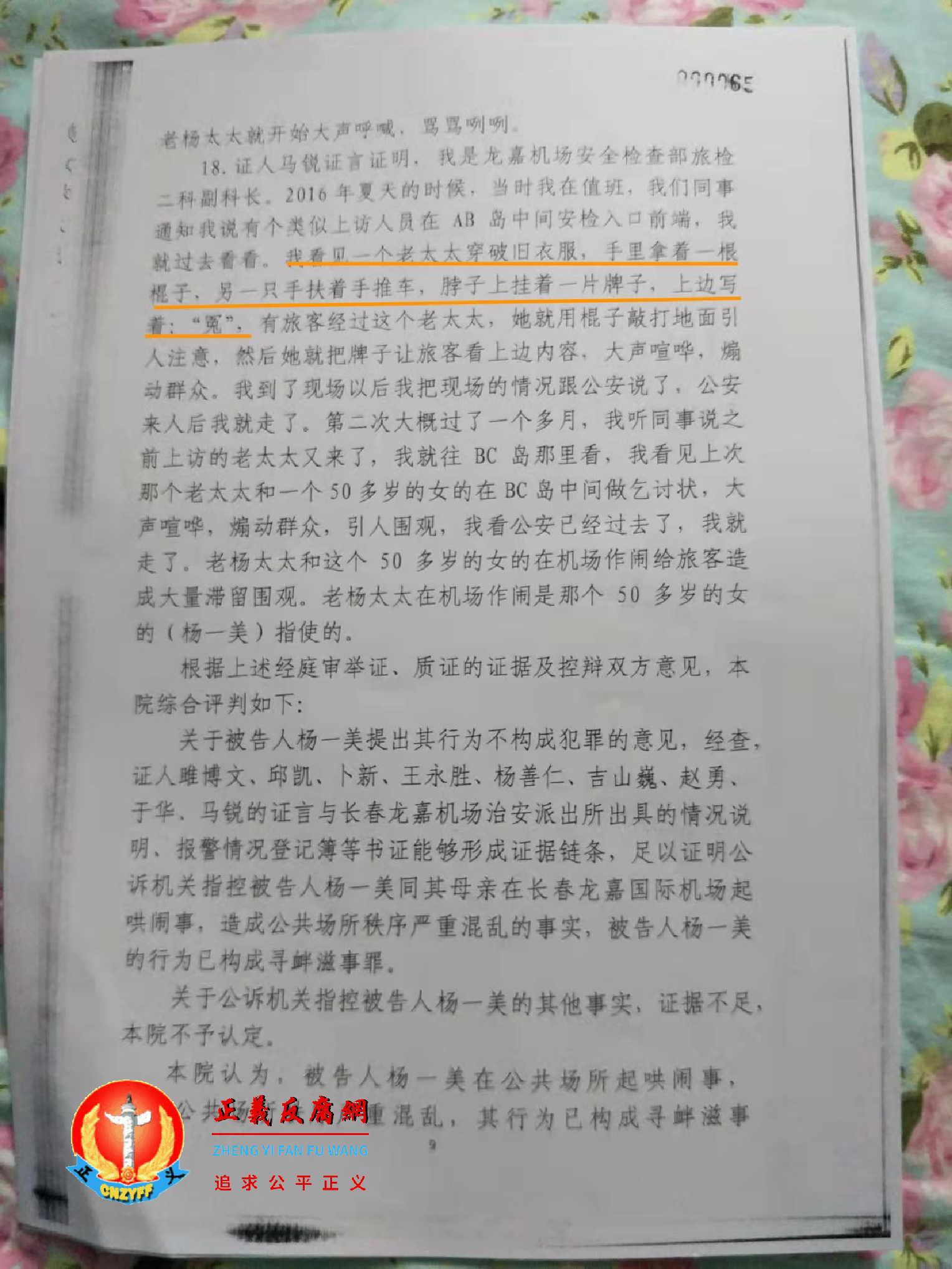 杨一美携母亲刘淑青在龙嘉机场鸣冤被判刑三年。图为判决书部分一段。.png