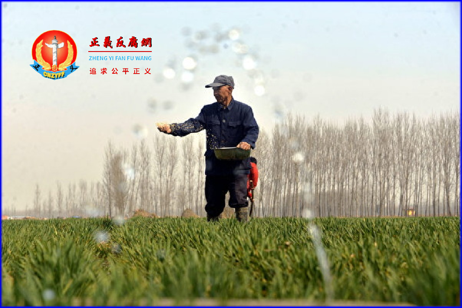 农民不愿种地 中国粮食安全问题严峻