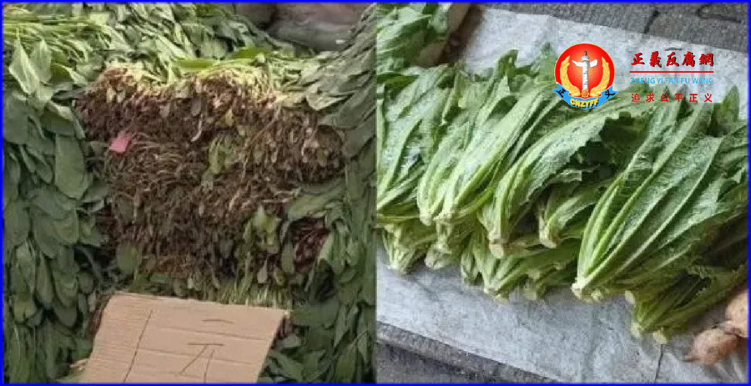 河南省洛阳市西工区一位三轮车卖菜大爷因销售不合格蔬菜，领了天价罚单。.png
